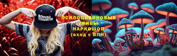 винт Алексин